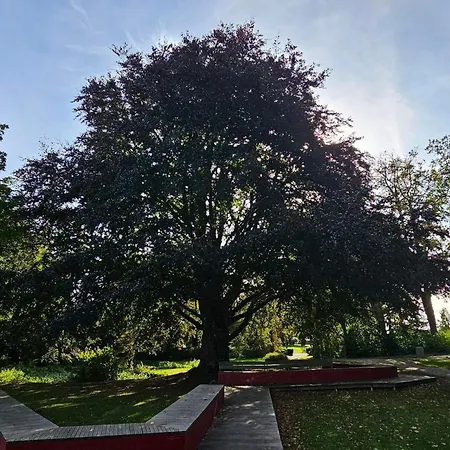 Prázdninový dům 6 Person In Stubbekobing-by Traum *